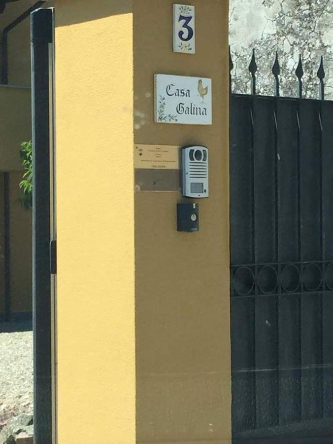 Casa Galina Villa Ciggiano Exterior photo